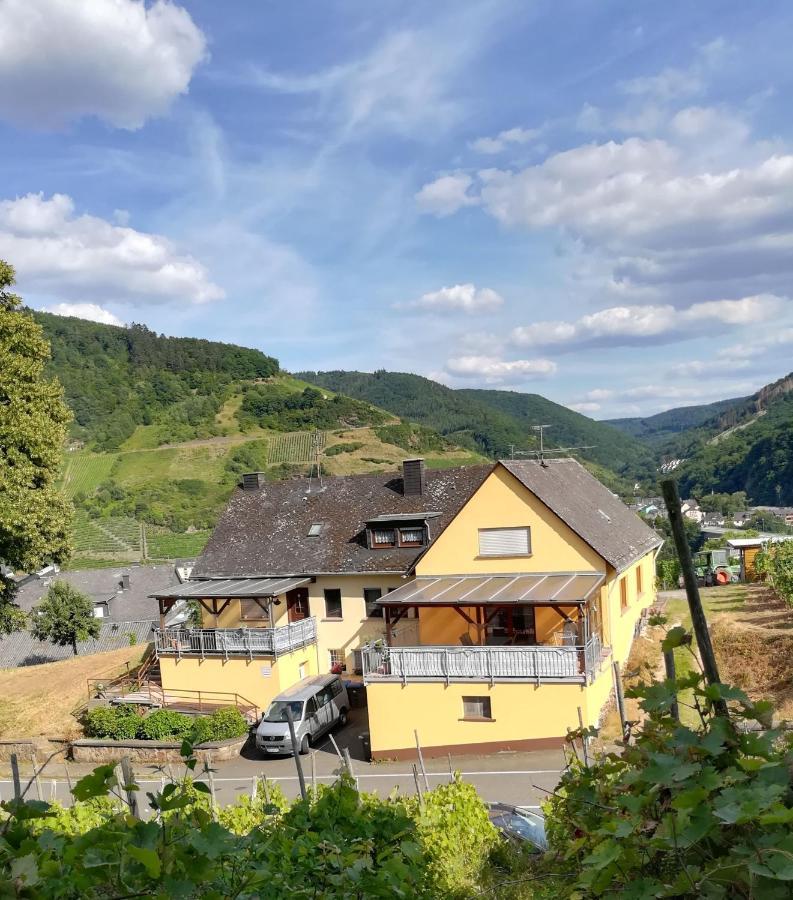 Die Ferienwohnung Lindenhof Zell an der Mosel Esterno foto