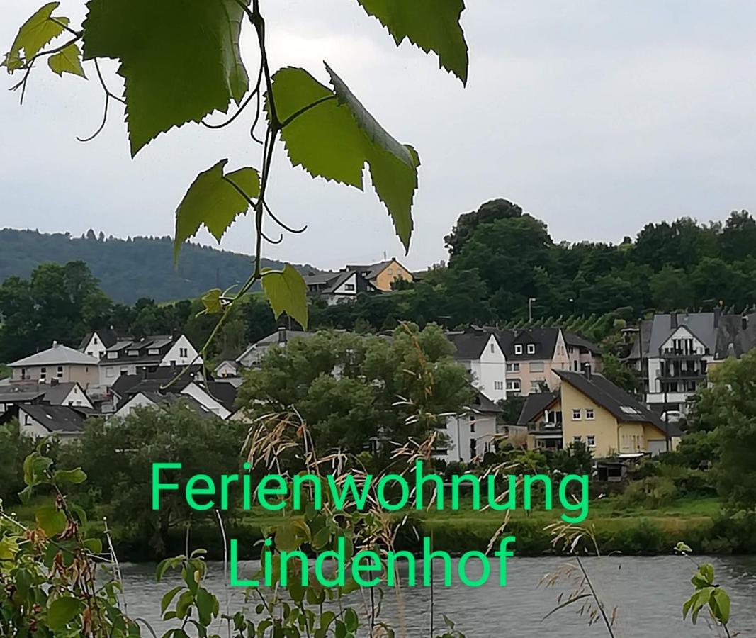Die Ferienwohnung Lindenhof Zell an der Mosel Esterno foto