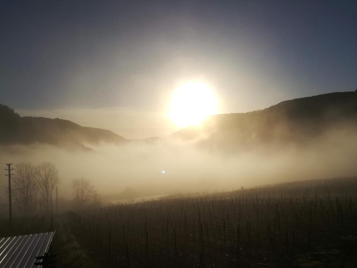 Die Ferienwohnung Lindenhof Zell an der Mosel Esterno foto